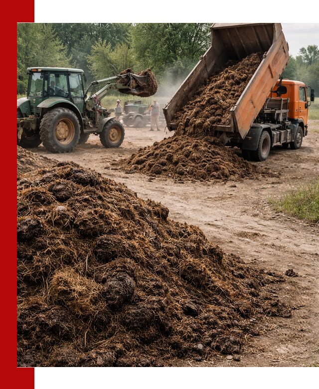 Доставка навоза самосвалами в Королёве для сельхозпотребностей
